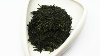 Dento Hon Gyokuro Fujimidori