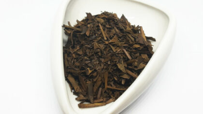 Morita Hojicha Kyoka