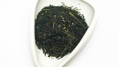 Morimoto Shincha