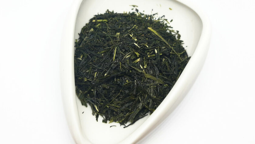 Morimoto Shincha