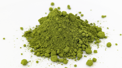 Tushita Temple Matcha