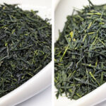 Yamaguchi Kabusecha Saemidori
