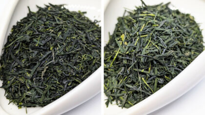 Yamaguchi Kabusecha Saemidori