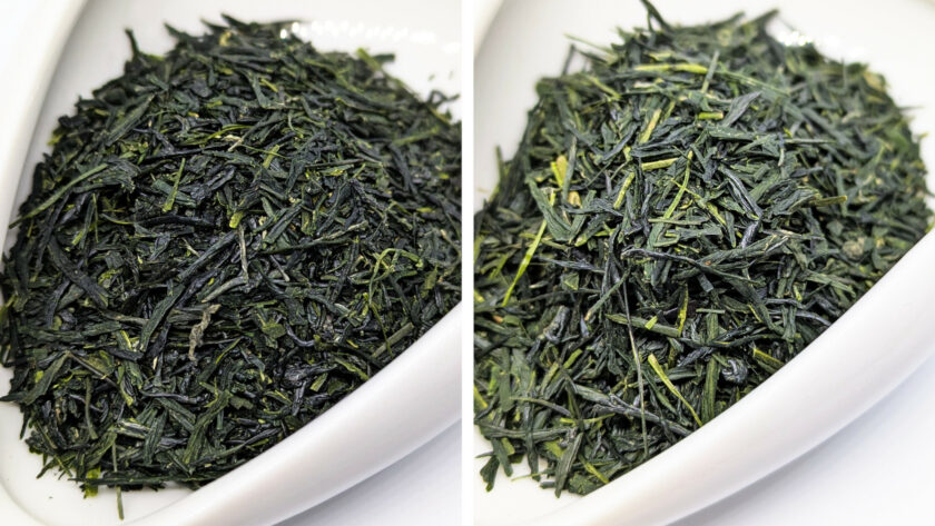 Yamaguchi Kabusecha Saemidori
