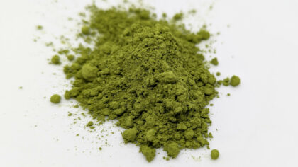 Ronnefeldt Matcha Horai