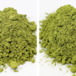 Matcha Karu Itsutsu Yottsu
