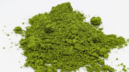 Matcha Hoshino Ikeno Shiro