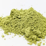 Matcha Hoshino Hakuju