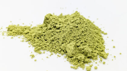 Matcha Hoshino Hakuju