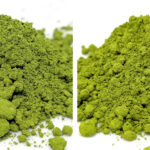 Marukyu Koyamaen Aoarashi / Isuzu