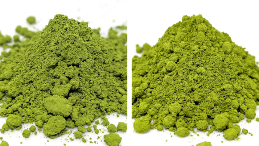 Marukyu Koyamaen Aoarashi / Isuzu