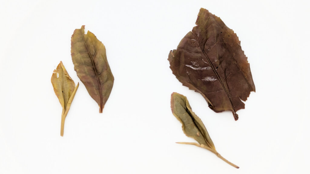 Yoshida Koucha 1st Flush No. 1 Premium / No. 3 Flower Moon