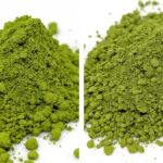 Marukyu Koyamaen Yugen / Kinrin