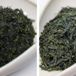 Gyokuro Katsutani Goko / Uji-Hikari