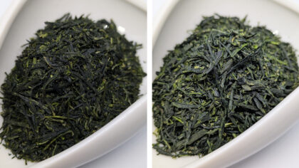 Gyokuro Katsutani Goko / Uji-Hikari