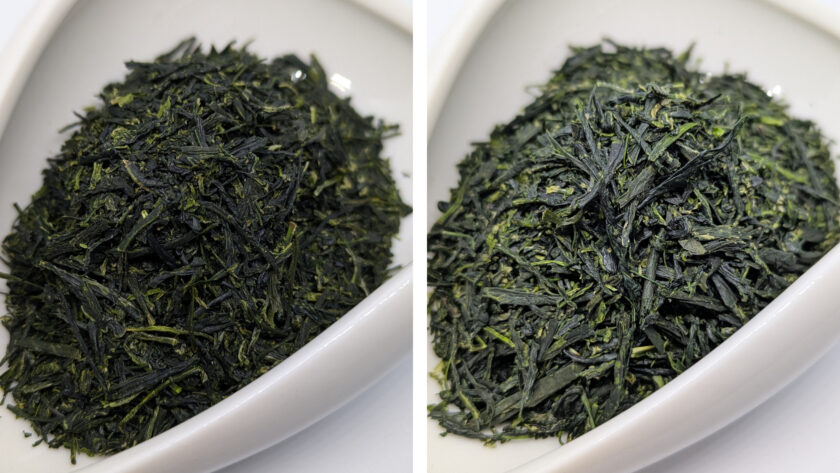 Gyokuro Katsutani Goko / Uji-Hikari