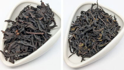 Miyazaki Wakocha Issin-En Izumi/Minamisayaka First Flush 2025