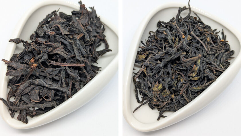 Miyazaki Wakocha Issin-En Izumi/Minamisayaka First Flush 2025